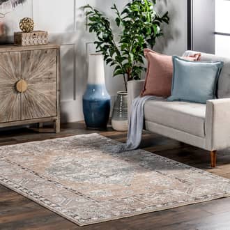 Valara Faded Medallion Rug secondary image