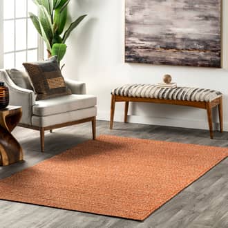 Beretta Braided Cotton Rug secondary image