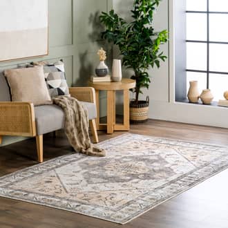 4' x 6' Aimee Washable Vintage Snow Peaks Rug secondary image