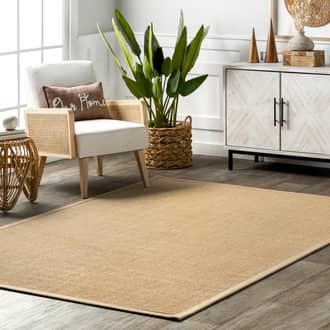 6' Sisal Border Rug secondary image