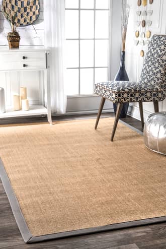 4' x 6' Sisal Border Rug secondary image