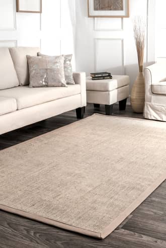6' x 9' Bordered Bleached Sisal Rug secondary image