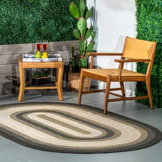 Selena Braided Indoor/Outdoor Rug secondary image