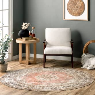 6' Rosette Medallion Washable Rug secondary image