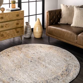 Vintage Medallion Rug secondary image
