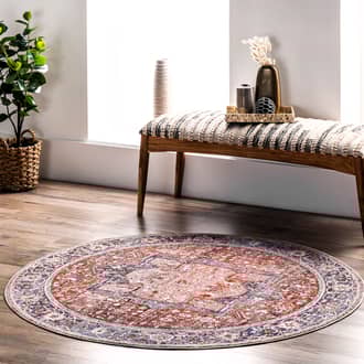 5' Fringed Medallion Rug secondary image