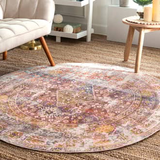 5' Distressed Medallion Rug secondary image
