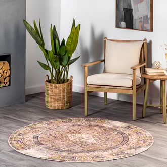 5' Distressed Medallion Rug secondary image