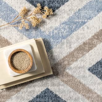 Reeba Washable Distressed Rug secondary image