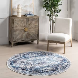 Shaded Medallion Rug secondary image