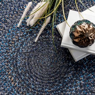 Farah Braided Ombre Rug secondary image