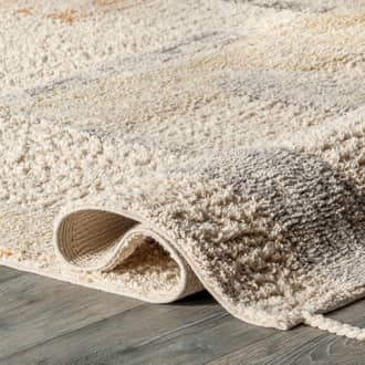 2' x 8' Rancho Abstract Rug secondary image