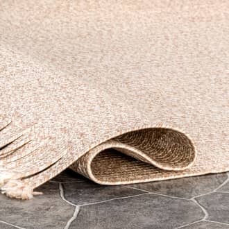 2' 6" x 8' Ashen Braided Tassel Indoor/Outdoor Rug secondary image
