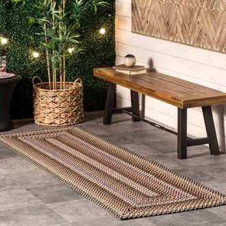 2' 6" x 8' Selena Braided Indoor/Outdoor Rug secondary image