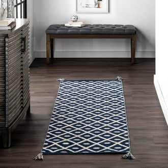 2' x 6' Flatwoven Pip Trellis with Tassels Rug secondary image