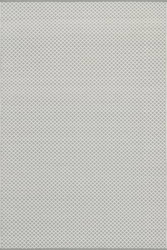 Trellis Handwoven Indoor/Outdoor Rug primary image