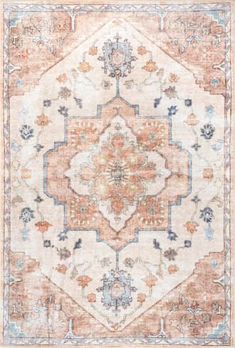 Amelie Washable Distressed Rug primary image