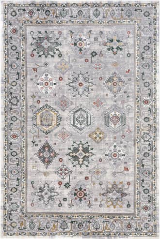 Joanna Bordered Medallion Rug primary image