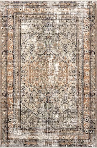 10' x 14' Vintage Medallion Fringe Rug primary image