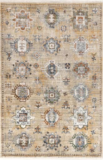 Arlena Vintage Medallion Rug primary image