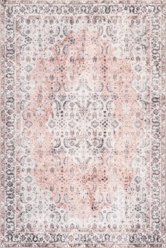 5' x 8' Kinsley Vintage Paisley Rug primary image
