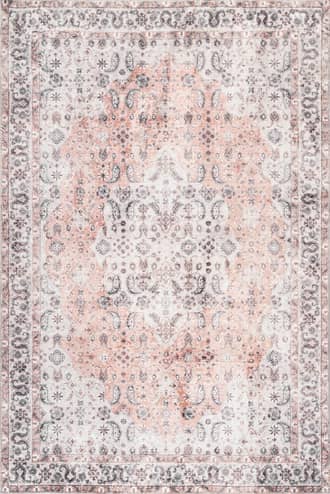 Kinsley Vintage Paisley Rug primary image