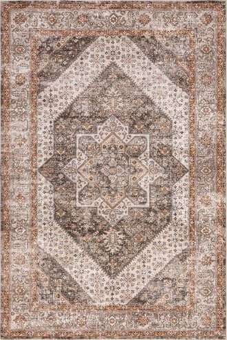 Margot Bordered Medallion Washable Stain-Resistant Rug primary image
