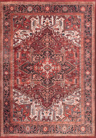 Luxuriant Printed Medallion Rug primary image