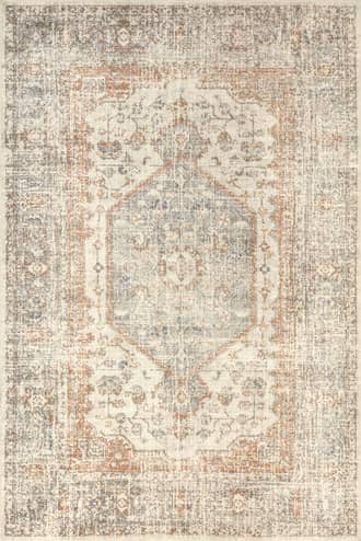 Light Grey 2' x 3' Vintage Medallion Washable Rug swatch