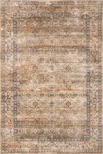 Myrtle Washable Vintage Rug primary image