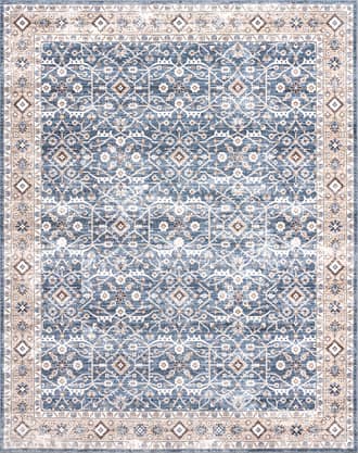 8' x 10' Cassie Vintage Tracery Washable Rug primary image