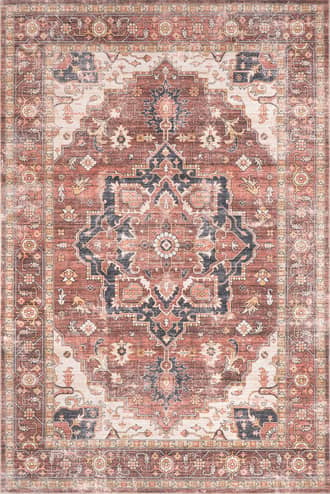5' x 8' Dionne Washable Vintage Faded Rug primary image