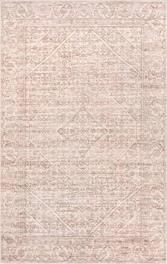 Cheyenne Washable Vintage Rug primary image