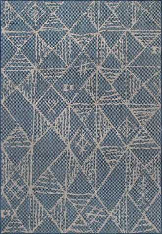 Blue Moroccan Indoor/Outdoor Rug swatch