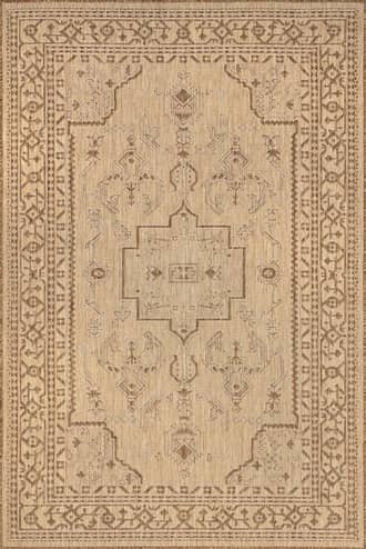 Navya Indoor/Outdoor Antique Rug primary image