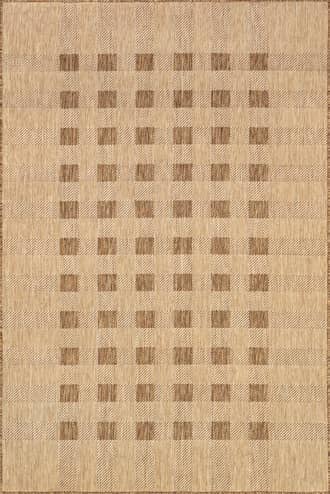 Dortha Checkered Indoor/Outdoor Rug primary image