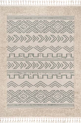 Shaggy Bordered Tribal Rug primary image