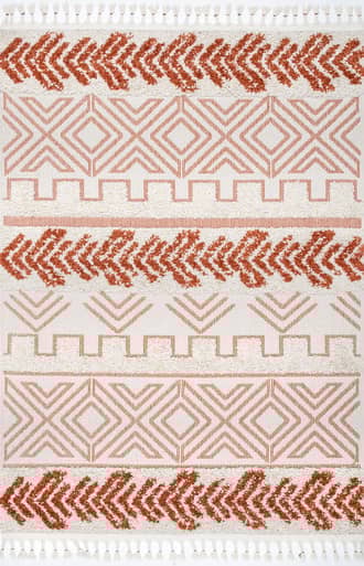 Banded Shag Rug primary image