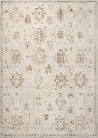 9' x 12' Brenda Hazy Heraldry Washable Rug primary image