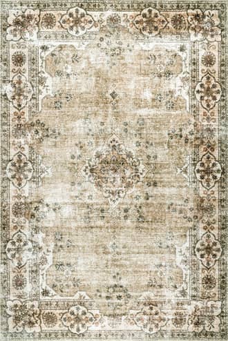 Audrina Persian Washable Rug primary image