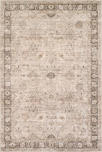 Bayberry Vintage Washable Rug primary image