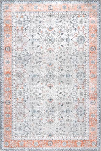 5' x 8' Paulina Persian Washable Rug primary image
