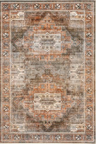 4' x 6' Maye Persian Washable Rug primary image