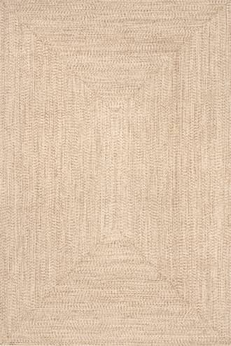 Handmade Braided Indoor/Outdoor Rug primary image