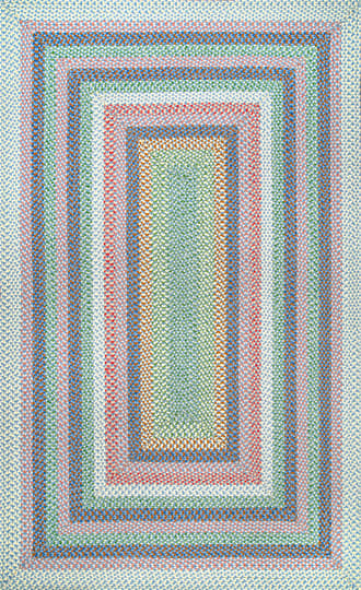 Braided Classics Indoor/Outdoor Rug primary image