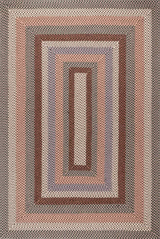 Selena Braided Indoor/Outdoor Rug primary image