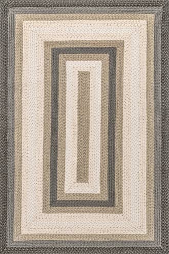 Selena Braided Indoor/Outdoor Rug primary image