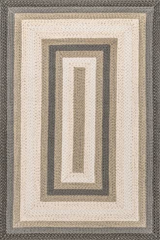 Selena Braided Indoor/Outdoor Rug primary image