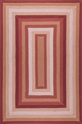 Rust Selena Braided Indoor/Outdoor Rug swatch