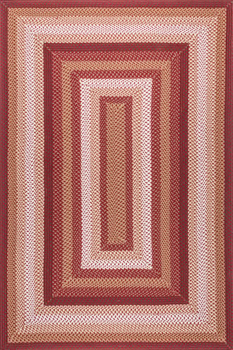 Rust Selena Braided Indoor/Outdoor Rug swatch